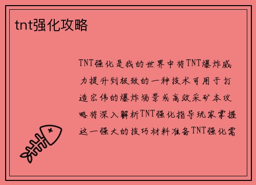 tnt强化攻略